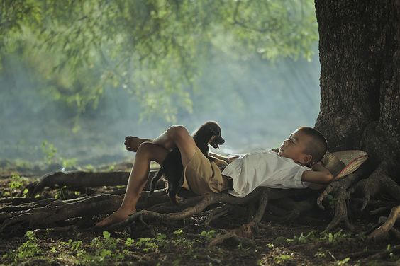 Chỉ có buông bỏ mới có thể thoải mái và tự tại. 